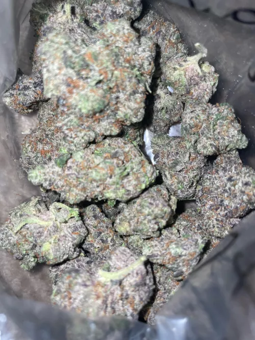 Purple Candyland🍬🔥