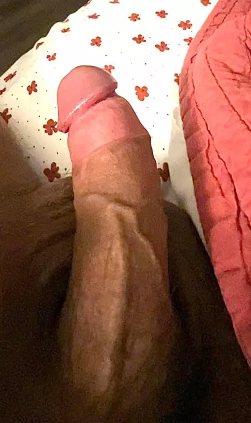 Rate my Chinese cock?