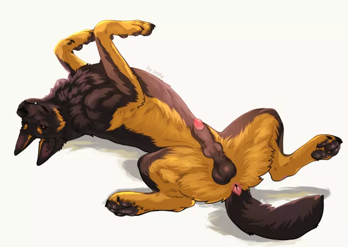 Shep boi (jetraraven) [M]