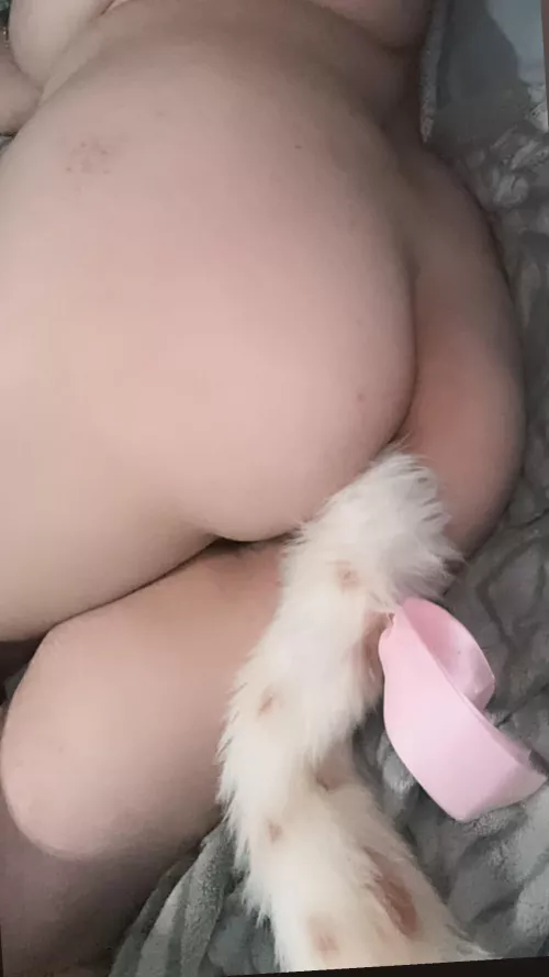 tail in !!! would u stroke my tail .... :<