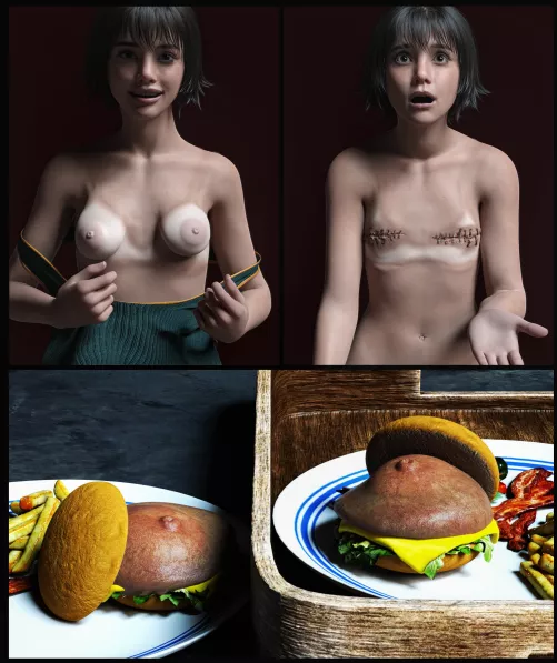 The B2S( breasts too small) breast assistance and food charity