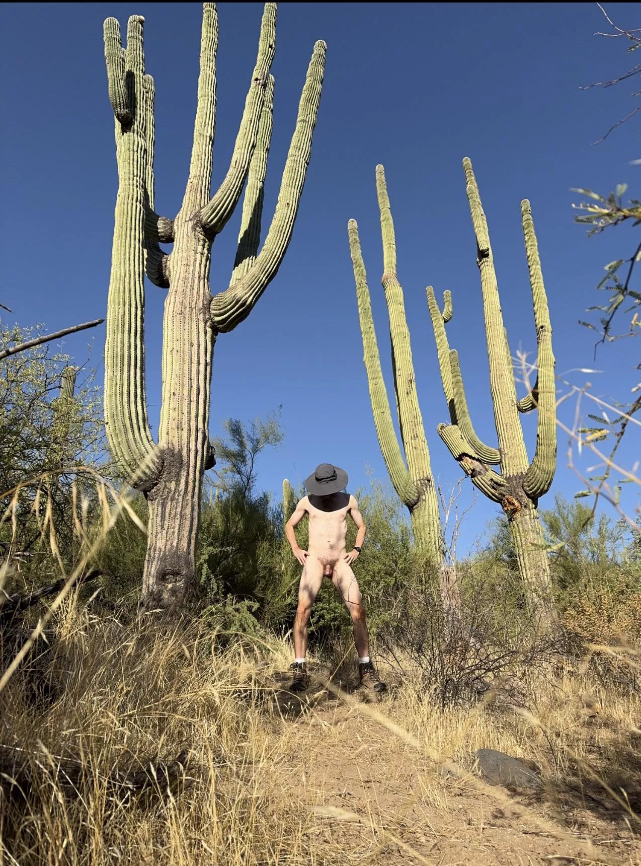 🌳 Tree pose Tuesday 🌳