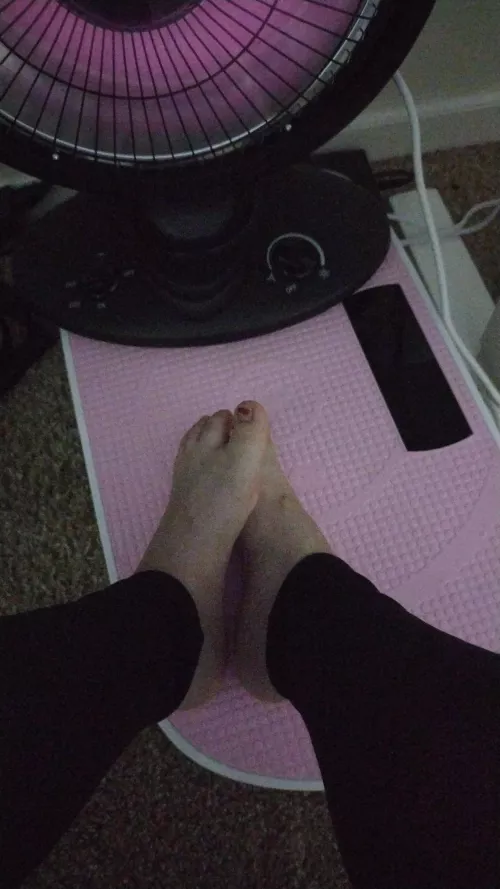 Trying to warm up these little toes on this cool morning 