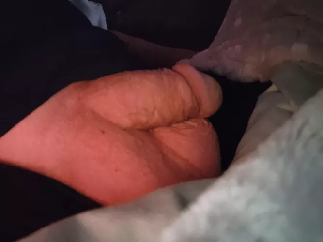 wake him up PLEASE! (60)