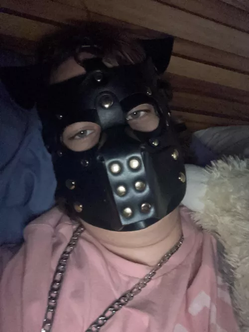 Waking up at this hour because of medication, I’m too tired. (7:40am)