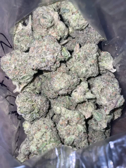 White cherry gelato‼️🍒🍒