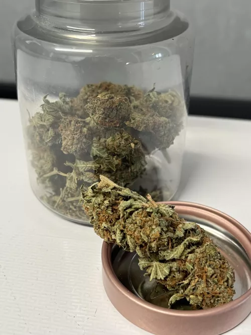 Who wants to join? 🥰