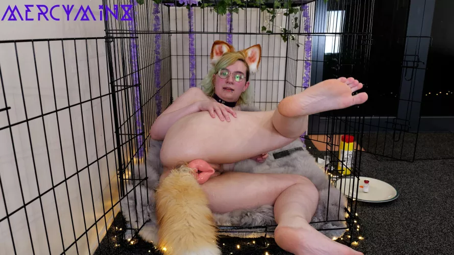 Will you disturb me?