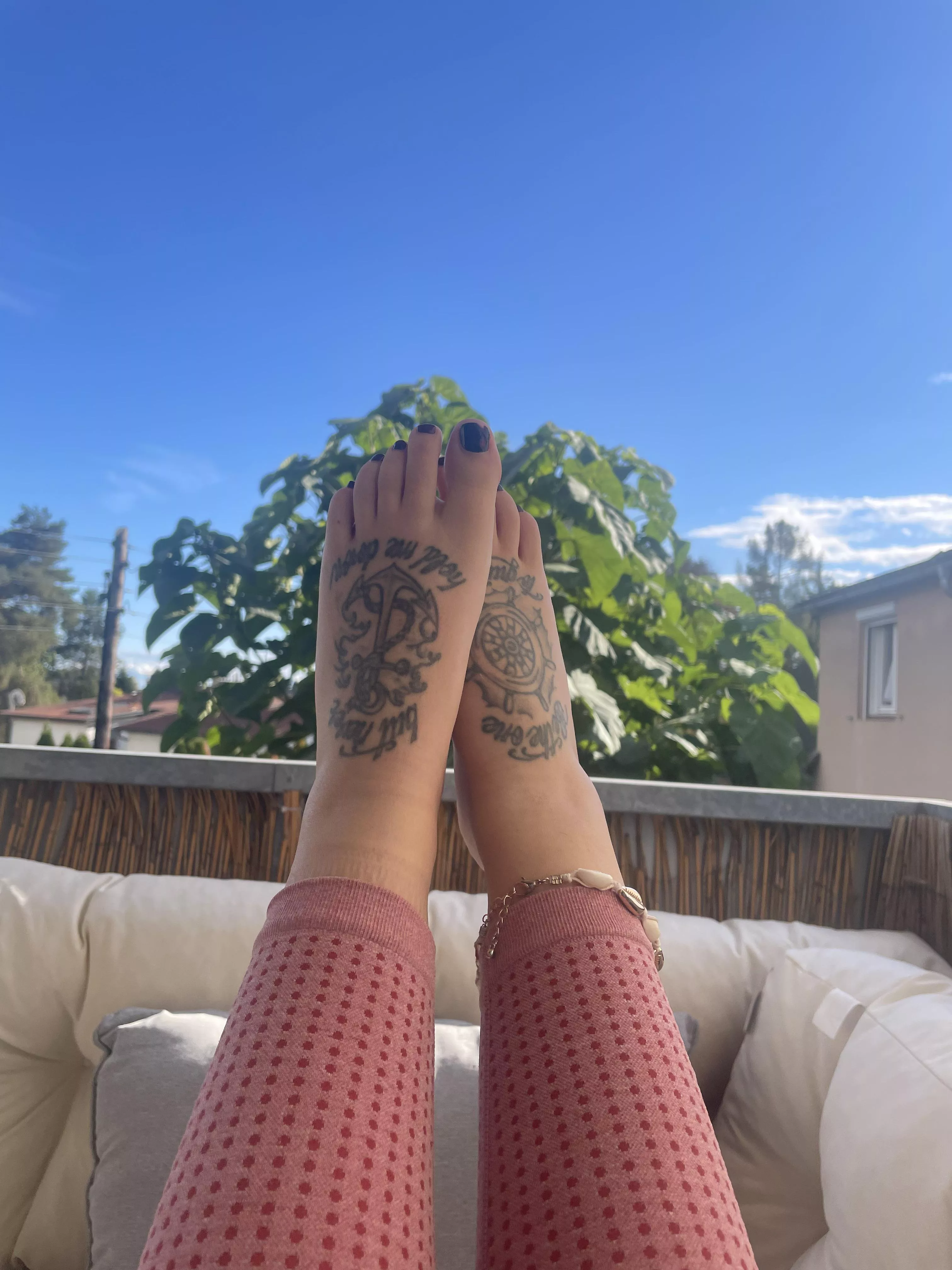 Will you lick my feet like the dog you are? 😈🐕 oc