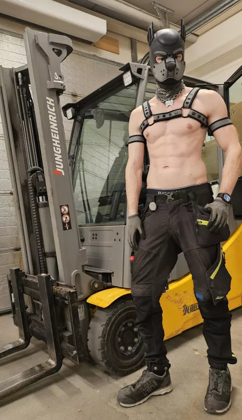 Working pup, what can I get you? 🐶