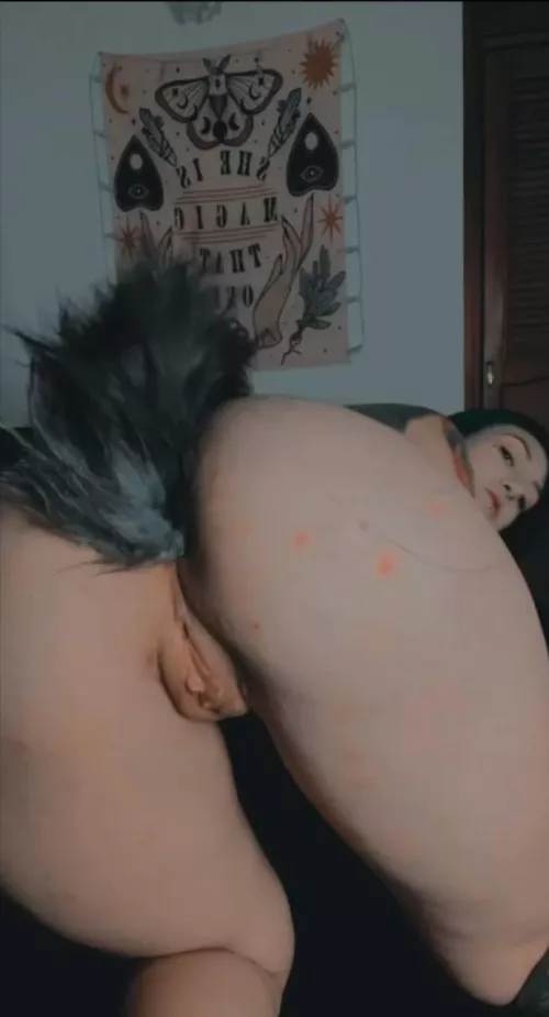 would you like me to be your pussy or your dog ?