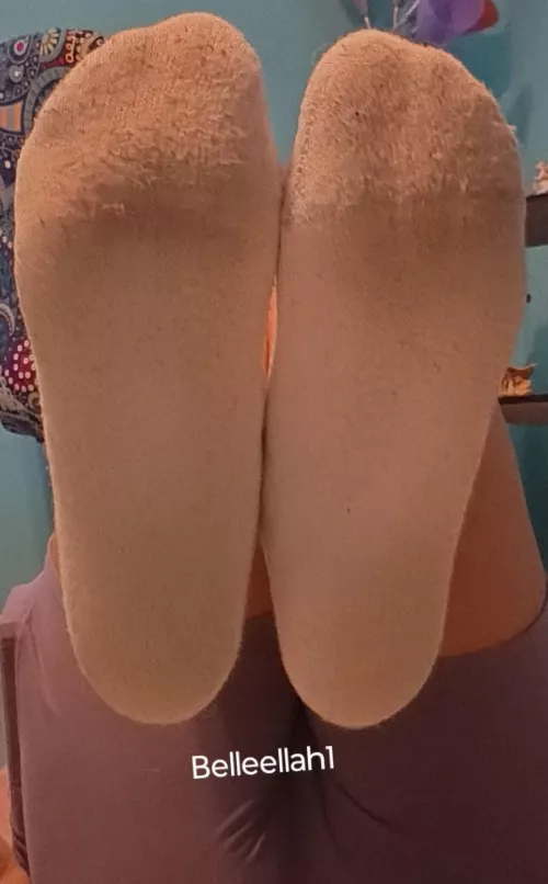 10 day worn socks ready to ship to you! Message me to make them yours