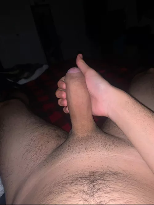 [20] available everynight