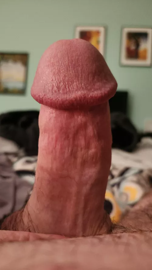 51 City: Charleston South Carolina Visiting MWM Wants Head