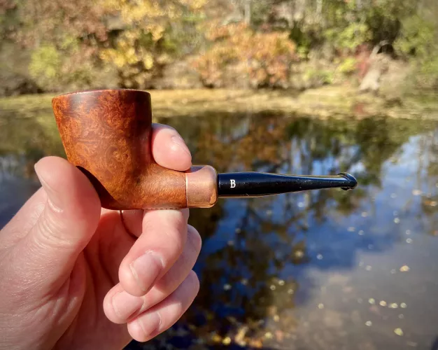 A quiet afternoon break at the local park. 