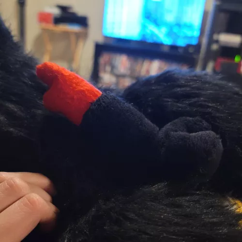 another pic of the SPA