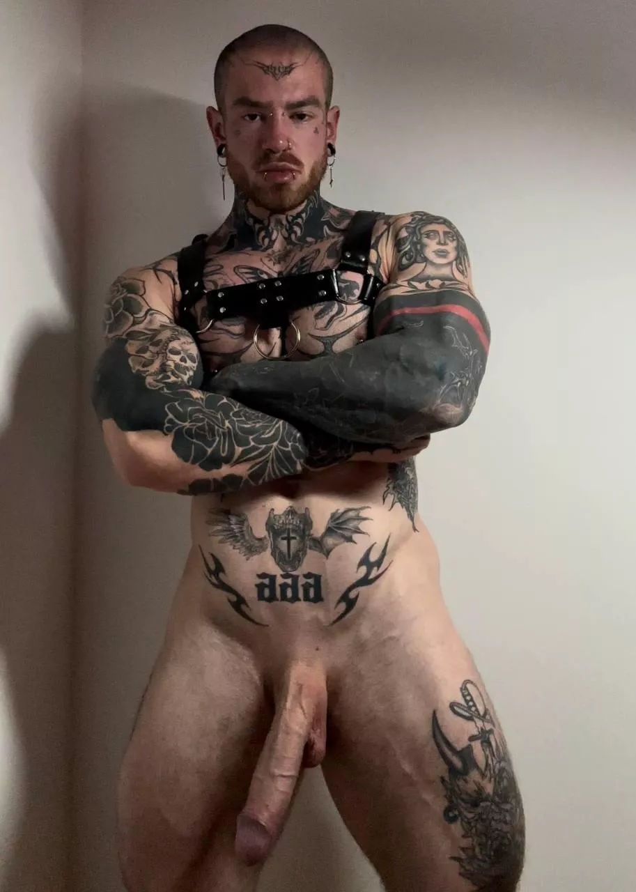 Anyone here like vlines and dick veins?