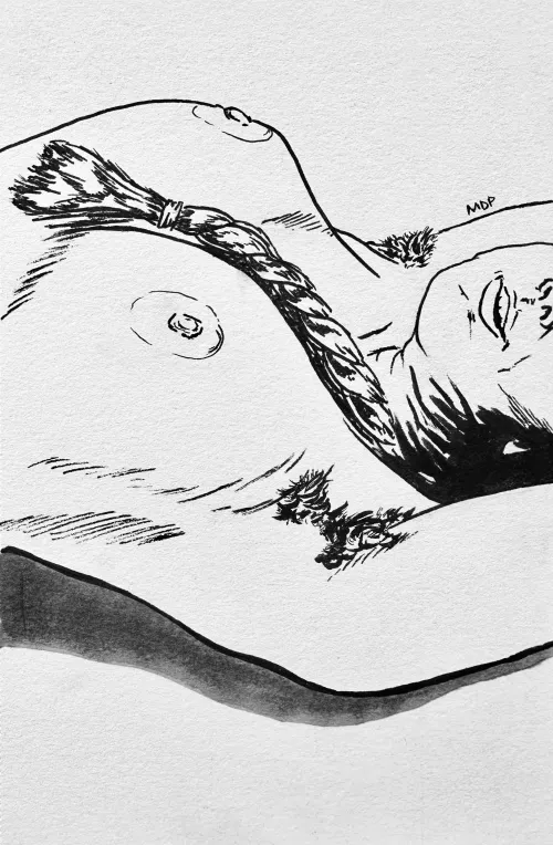 Braid, ink sketch by me