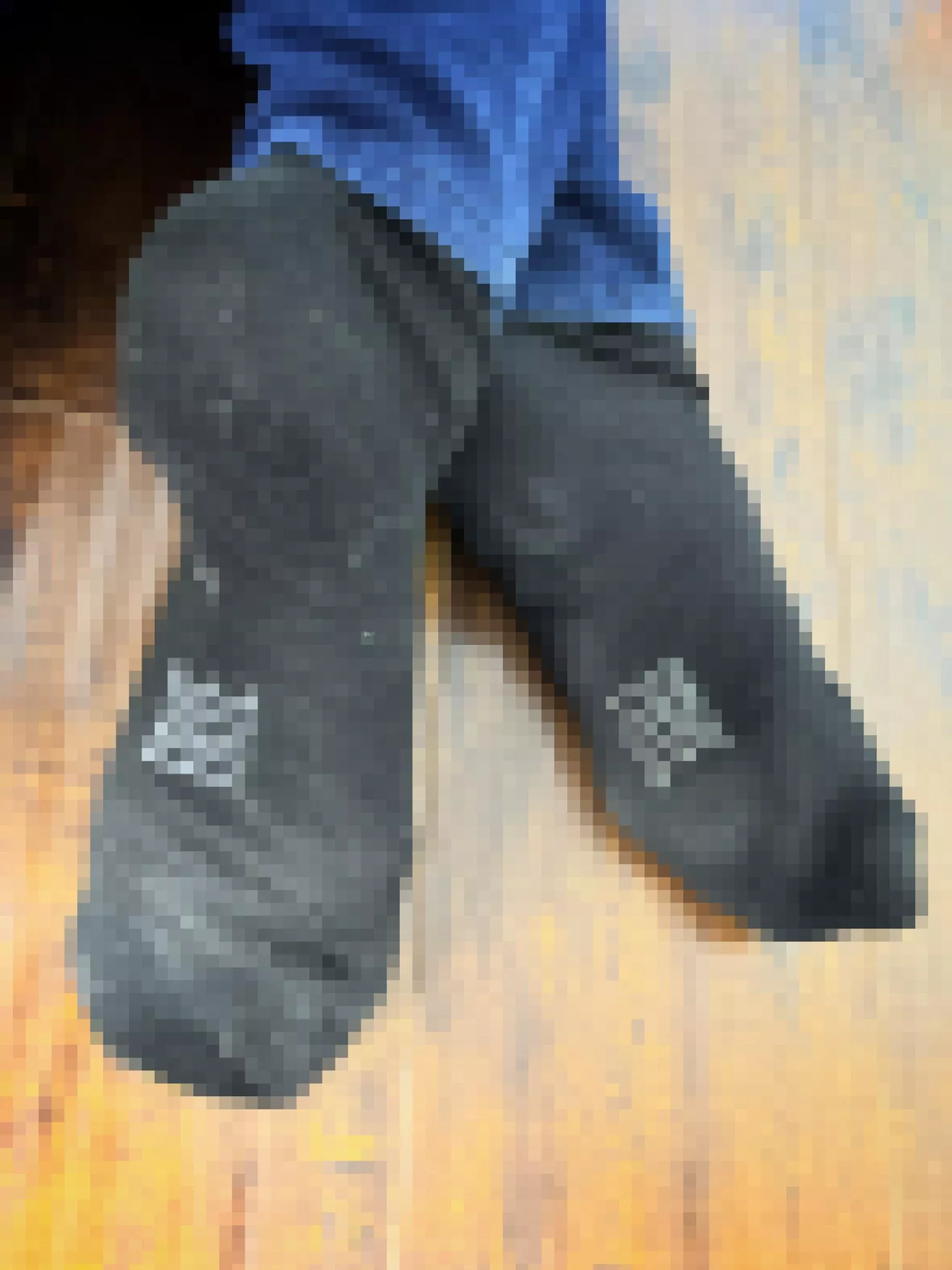 Day 23 of socktober - I guess black socks can still get dirty 🖤