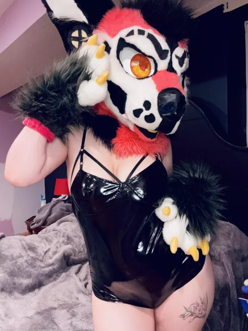 Do you like the sounds that shiny material makes? 🤭🐾🖤 Socials: Styradoggy