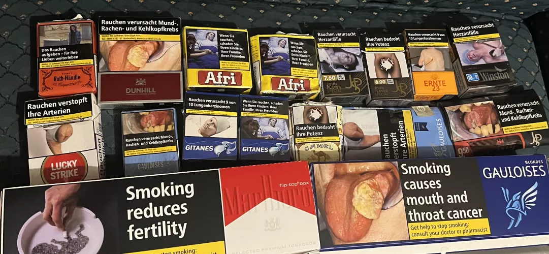 Everything I brought back from Germany : )