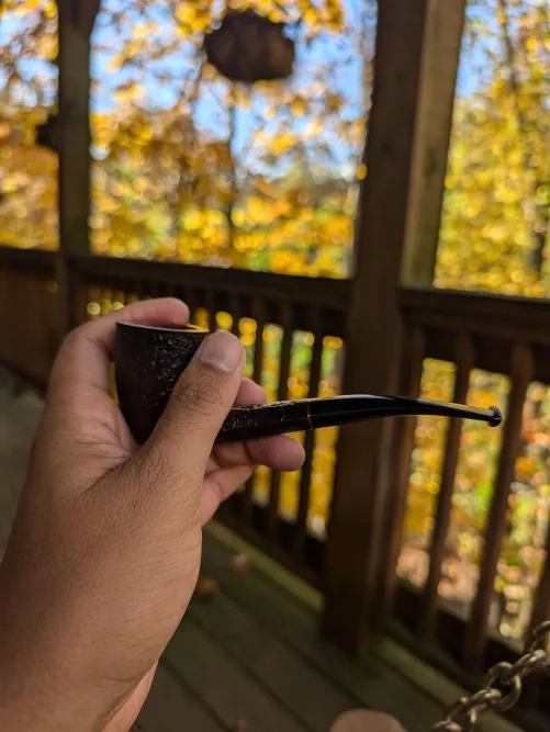 Fall Gold and A Savinelli 413