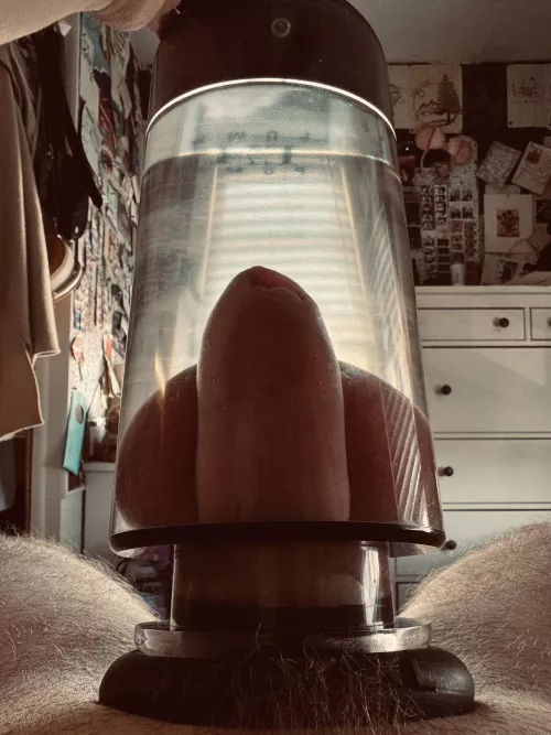 First time in a week or so. 2 hours in the pump. 