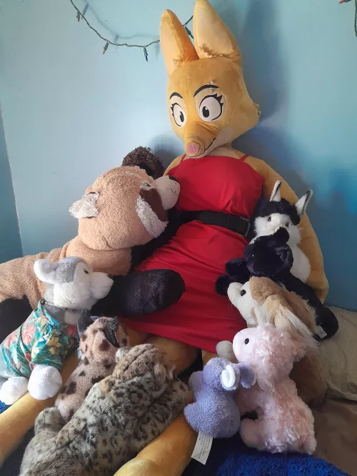 Happy plush animal lovers day!