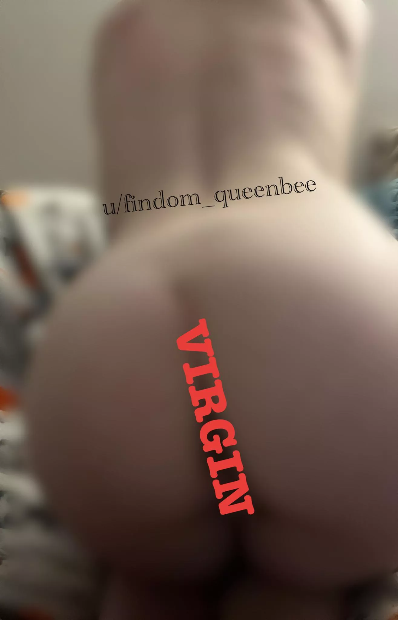 happy wagon wednesday! (the best day! 😂)