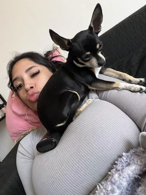 He's favourite place to chill 🤭