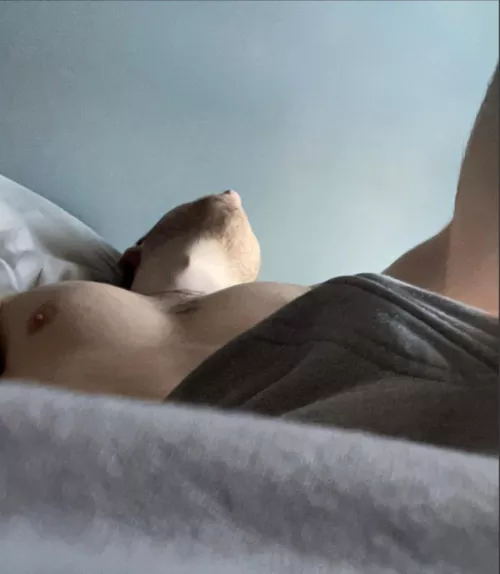 I need a good slut to take care of my bulging BWC every morning when I wake up and every night after the gym. Any volunteers? 