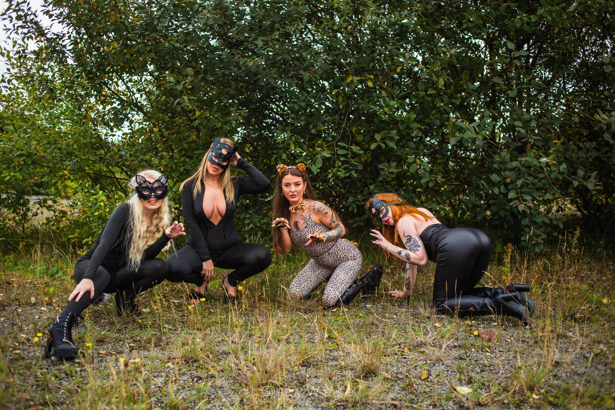 Just when you thought you could handle one Kitty , there’s four ! Links below 👇🏻 