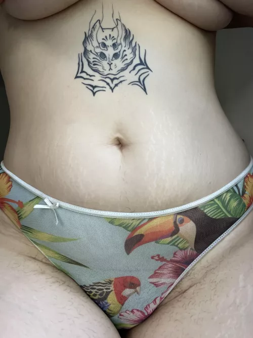 Look my little birds 