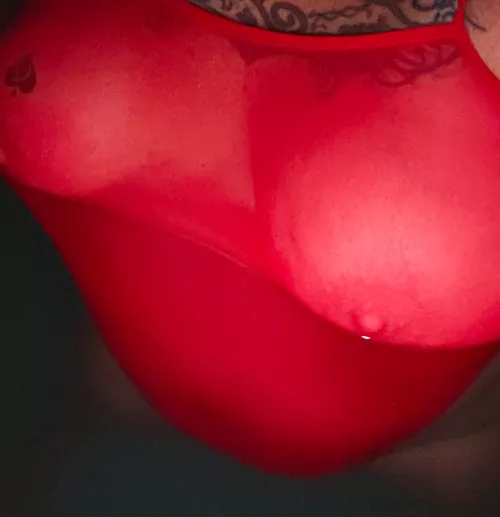 Looking for Bull! Have a hotel room in Fort Worth for the night. Let's meet up and have drinks and see where it goes.