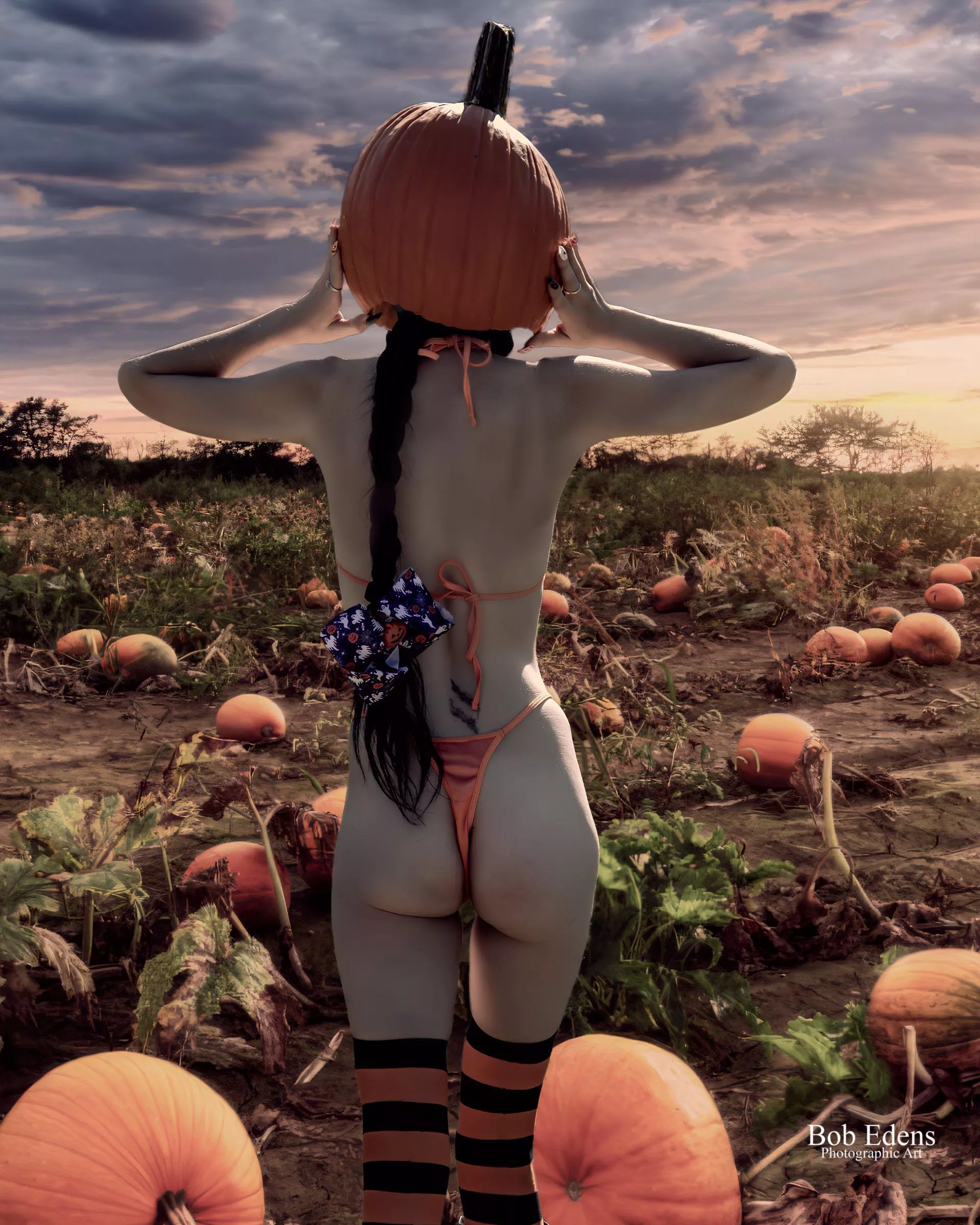 Lots of great pumpkins in this photo 🎃 (oc)