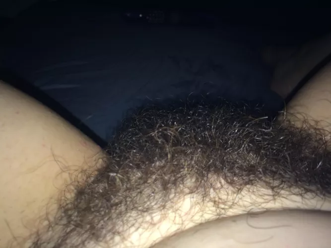 Lovely hairy bush