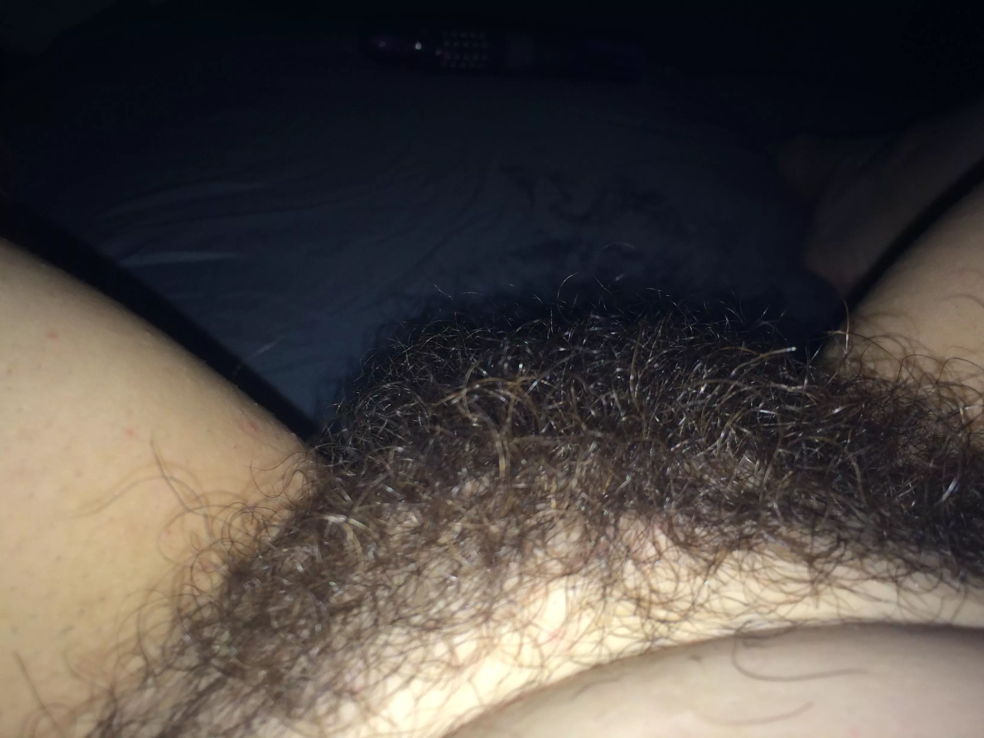 Lovely hairy bush