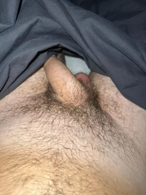 m20 newcastle looking for public discreet fun today 