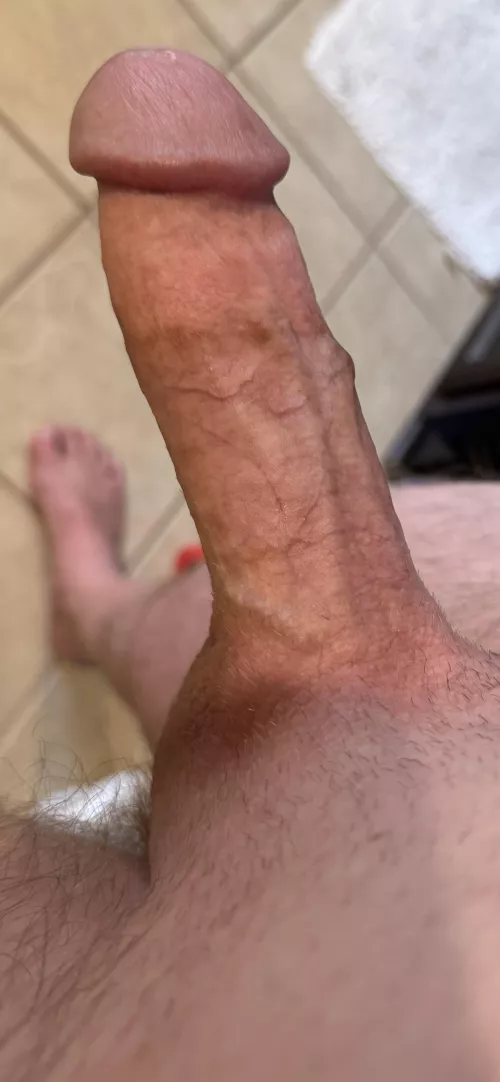 M4F Daytime playmate (Females only)