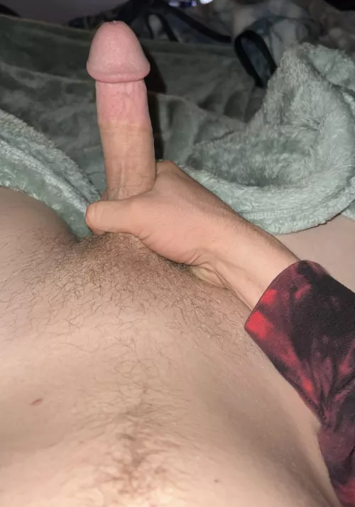 M4F tn