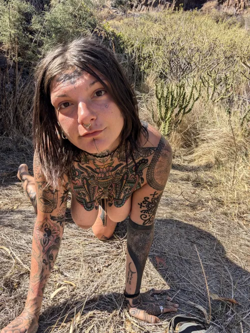 melting away in the heat [p]