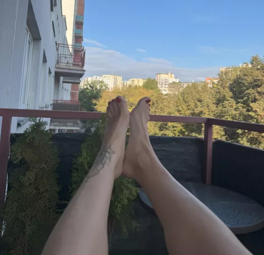 My feet were made to be in your mouth