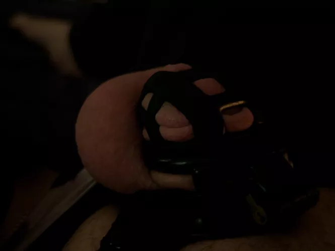 My keyholder says I have to keep posting these once a day till locktober ends. You have me locked till Nov 6th now. Every upvote is 1 more hour I stay caged.