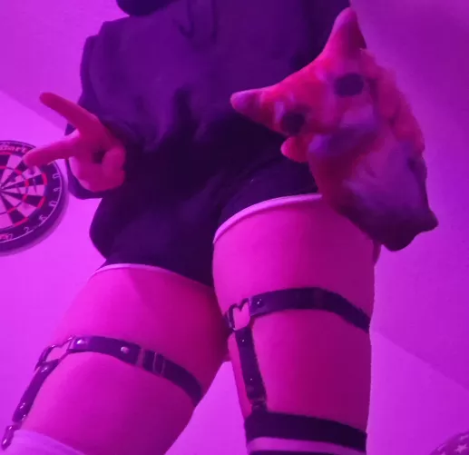 My son (Cat plushy) :3