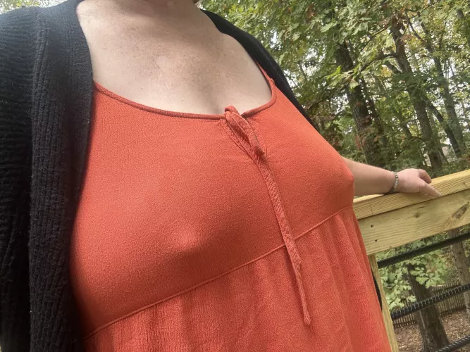 Seasonal outfit good for her pumpkins