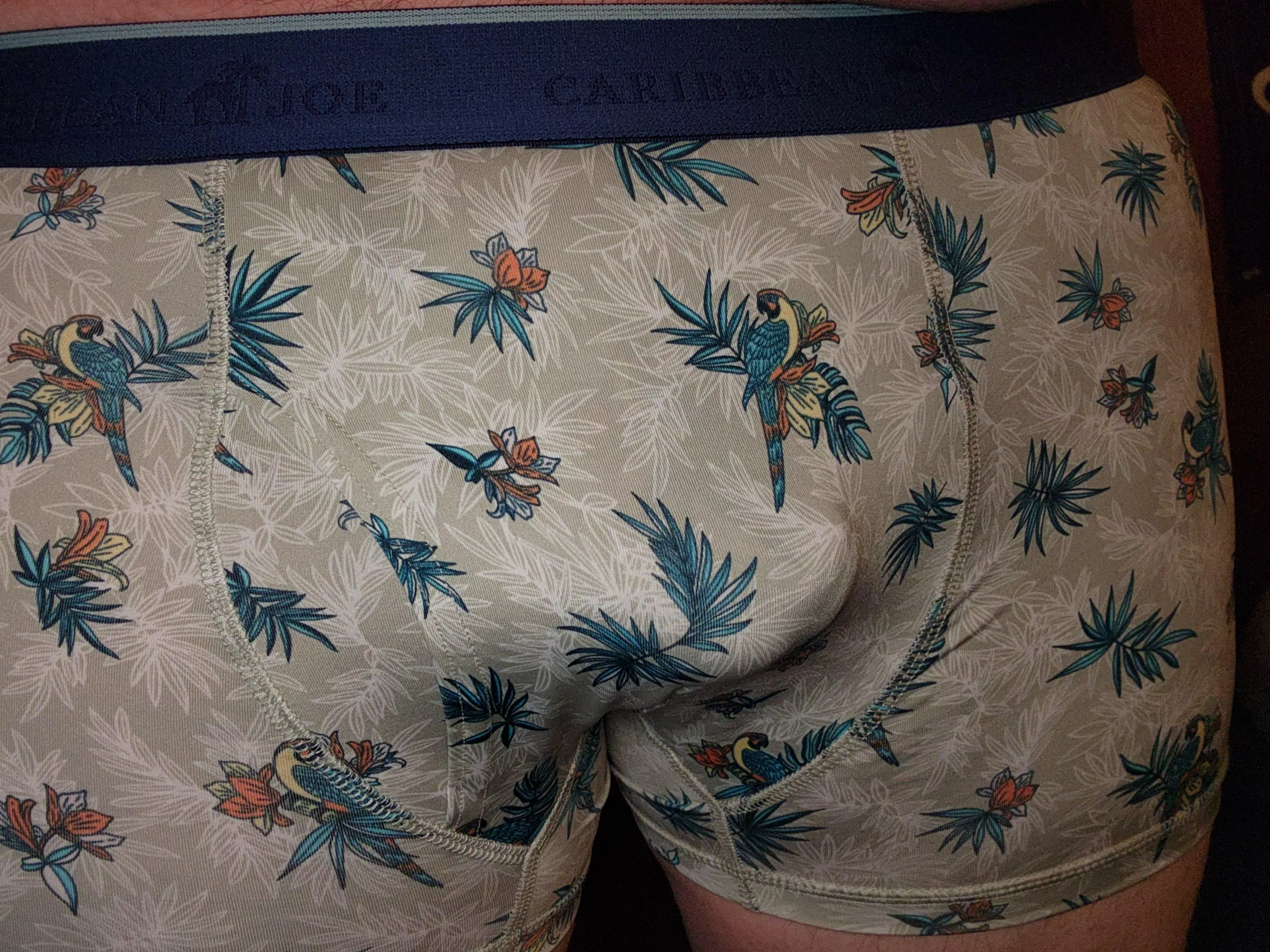 Tropical paradise 🦜