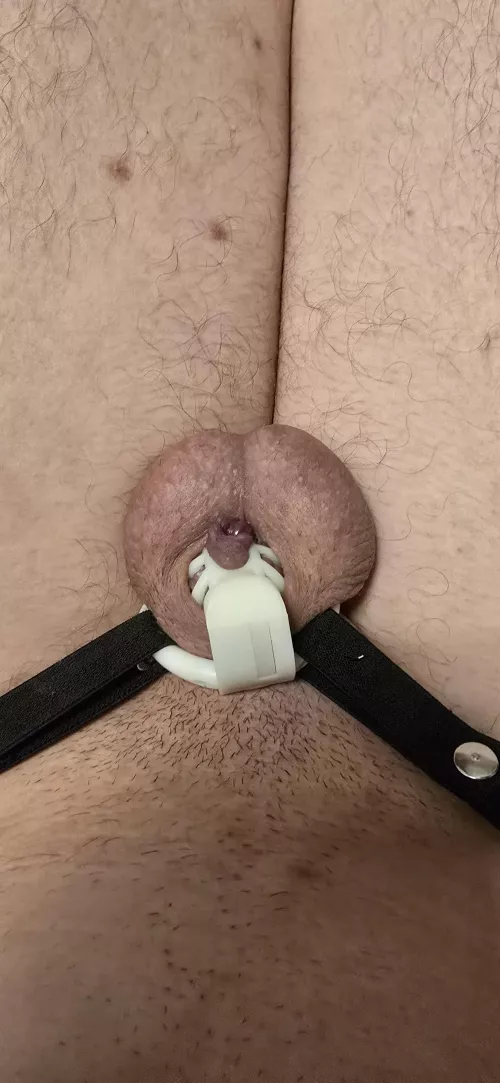 What are your thoughts about this?