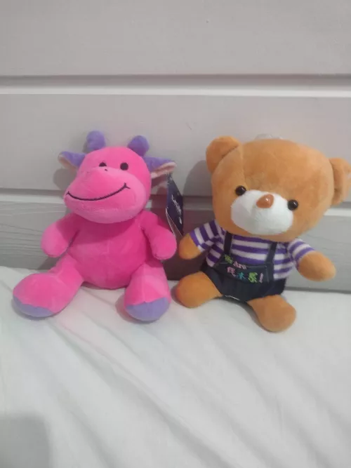 what name could I give them? and what would you like me to do with them?