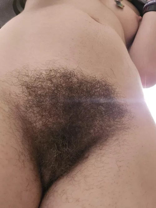 What should my bush be for Halloween 