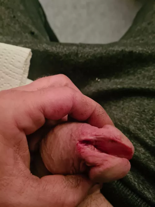 Wie komt er ook uit Nederland?